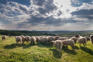 Bulgarien vejrudsigt