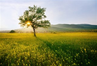 Bulgaristan hava tahmini