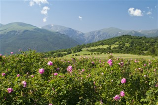 Bulgaristan hava tahmini