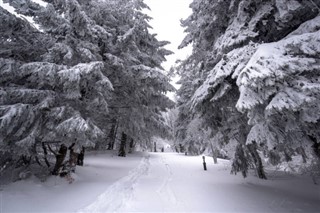 Bulgaristan hava tahmini
