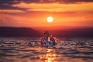 Bulgaristan hava tahmini