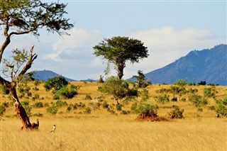 Burkina Faso hava tahmini
