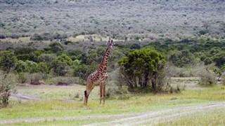 Burkina Faso hava tahmini