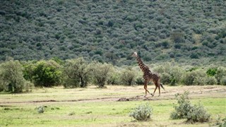 Burkina Faso prévisions météorologiques