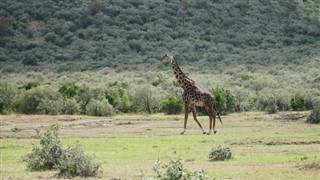 Burkina Faso időjárás-jelentés