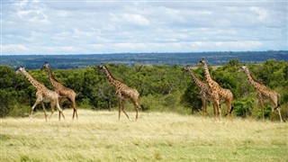 Burkina Faso hava tahmini