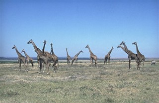 Burkina Faso hava tahmini