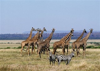 Burkina Faso hava tahmini