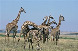 Burkina Faso vremenska prognoza