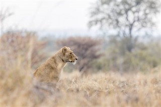 Burkina Faso hava tahmini
