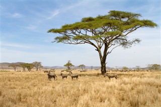 Burkina Faso hava tahmini