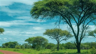 Burkina Faso hava tahmini