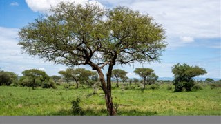 Burkina Faso prévisions météorologiques
