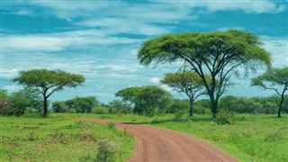 Burkina Faso hava tahmini