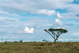 Burkina Faso vremenska prognoza