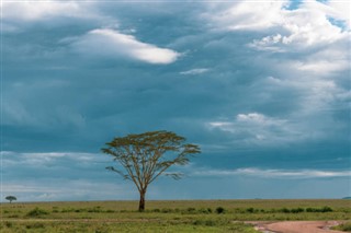 Burkina Faso hava tahmini