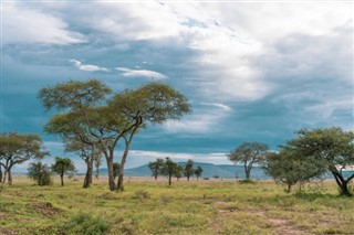Burkina Faso prévisions météorologiques