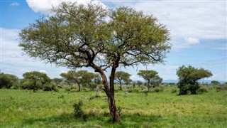 Burkina Faso vejrudsigt