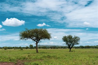 Burkina Faso vejrudsigt