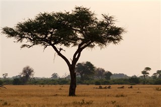Burkina Faso időjárás-jelentés