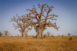Burkina Faso prévisions météorologiques