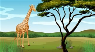 Burkina Faso hava tahmini