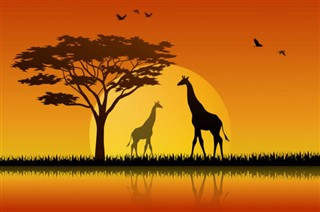 Burkina Faso hava tahmini