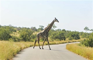Burkina Faso vejrudsigt