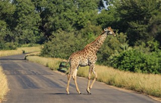 Burkina Faso hava tahmini