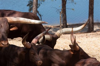Burundi hava tahmini