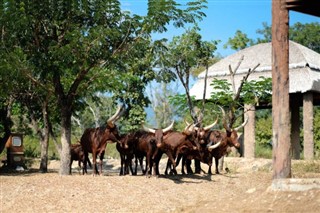 Burundi Hava tahmini