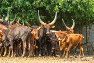Burundi vejrudsigt