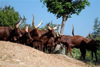Burundi vejrudsigt
