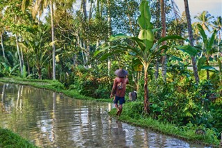 Camboya pronóstico del tiempo