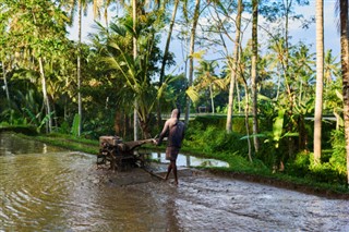 Cambogia Previsioni del tempo