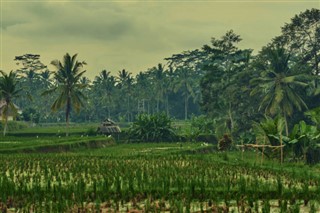 Cambodja vejrudsigt