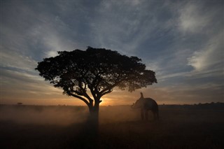 Cambodja vejrudsigt