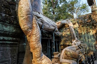 Cambodge prévisions météorologiques