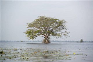 Cambodja vejrudsigt