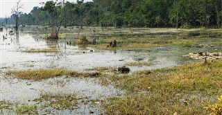 Cambodia předpověď počasí