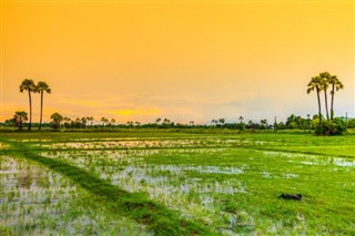Cambodja vejrudsigt