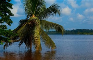 Kamerun hava tahmini