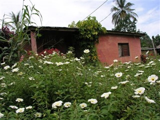 Cameroun vejrudsigt