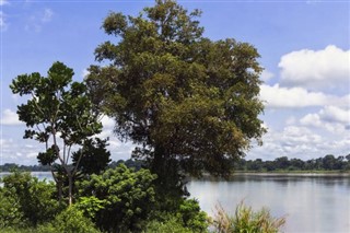Camerún pronóstico del tiempo