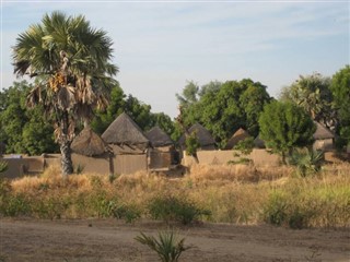 Kamerun Hava tahmini