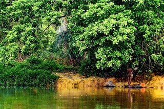 Kamerun hava tahmini