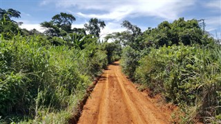 Cameroun vejrudsigt