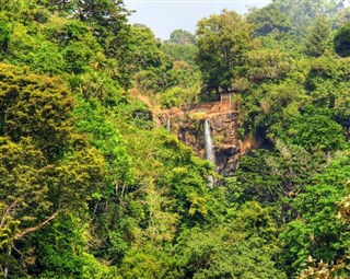 Kamerun hava tahmini