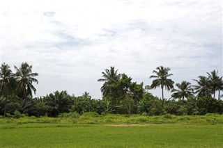 Kamerun hava tahmini