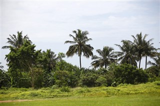 Kamerun hava tahmini